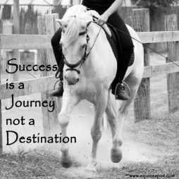 horse-quotes-success-is-a-journey.jpg